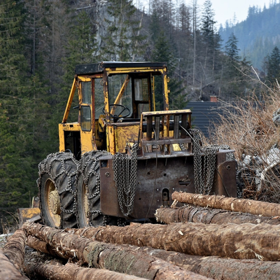 utilaje_forestiere