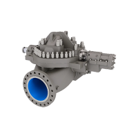 Pompe cu carcasă unică - separare axiala - API - DVSH-RO Flowserve 